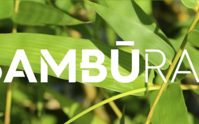Konkretna emerytura z Bamburain