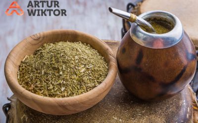 Właściwości Yerba Mate