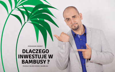 Modern Investor Club – Wielkie Możliwości Dla KAŻDEGO!